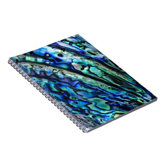 Carnet Iridescente Paua Abalone Shell (Côté Droit)