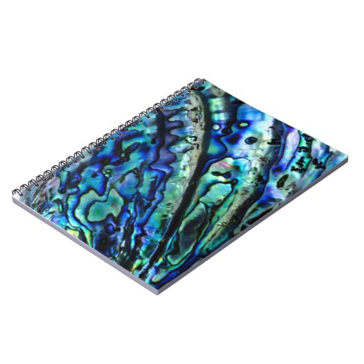 Carnet Iridescente Paua Abalone Shell (Côté gauche)