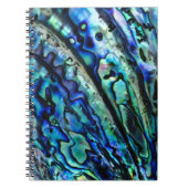 Carnet Iridescente Paua Abalone Shell (Devant)