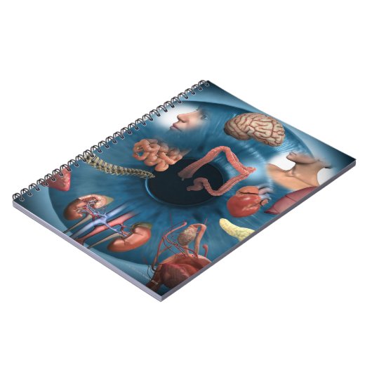 Carnet Iridologie (Côté gauche)