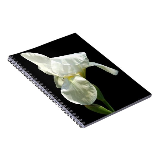 Carnet Iris (Côté Droit)