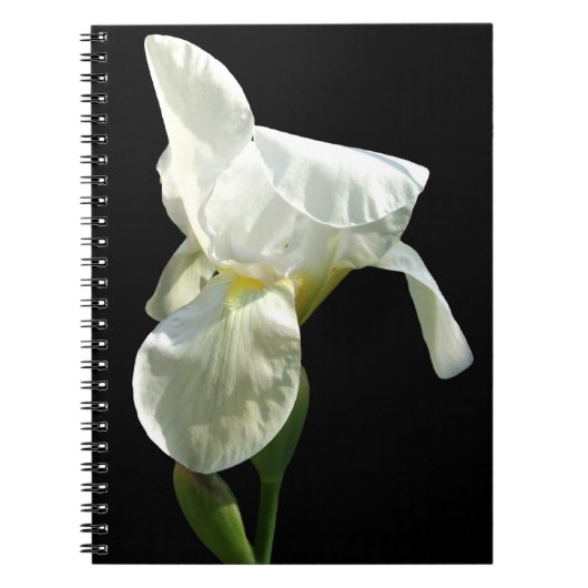 Carnet Iris (Devant)