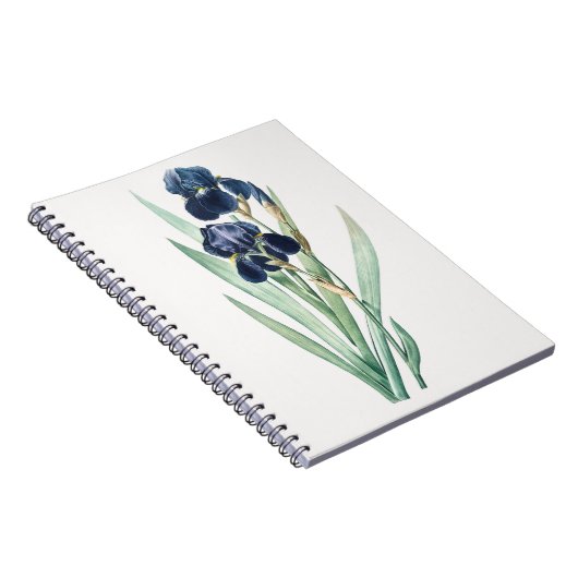 Carnet Iris (Côté Droit)