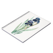 Carnet Iris (Côté gauche)