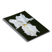 Carnet Iris à barbe blanche sur fond noir (Côté Droit)