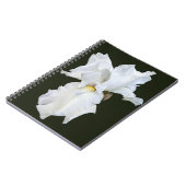 Carnet Iris à barbe blanche sur fond noir (Côté gauche)