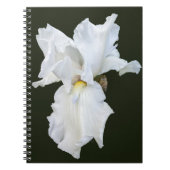 Carnet Iris à barbe blanche sur fond noir (Devant)
