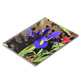 Carnet Iris à Tulip Field, Woodburn, Oregon (Côté gauche)