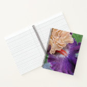 Carnet Iris barbu bicolore en fleurs (Intérieur)