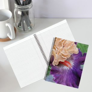 Carnet Iris barbu bicolore en fleurs