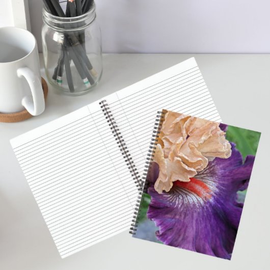Carnet Iris barbu bicolore en fleurs