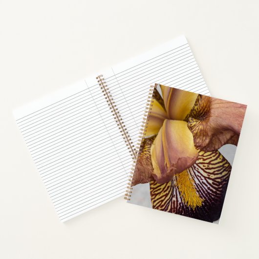 Carnet Iris barbu floral jaune et violet (Intérieur)