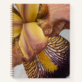 Carnet Iris barbu floral jaune et violet (Devant)
