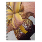 Carnet Iris barbu floral jaune et violet (Devant)