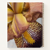 Carnet Iris barbu floral jaune et violet (Dos)
