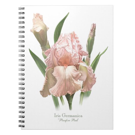 Carnet Iris barbu rose (Devant)