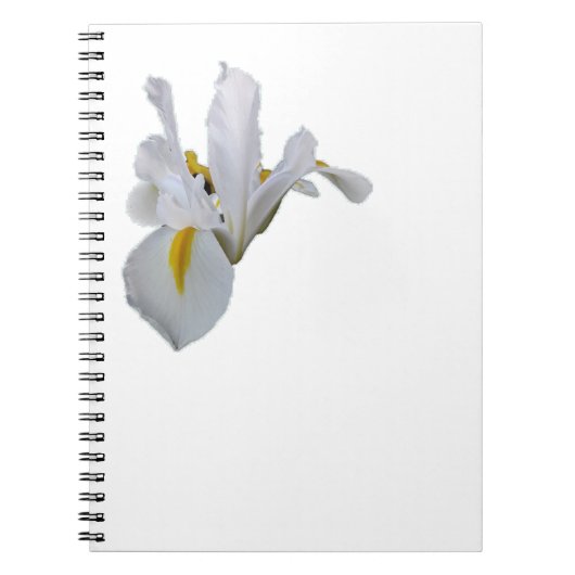 Carnet Iris blanc avec centre jaune (Devant)