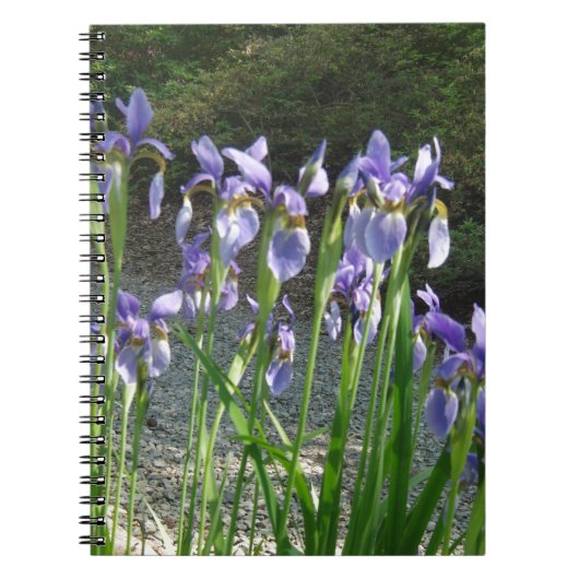 Carnet Iris bleu (Devant)