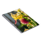 Carnet Iris de famille (Côté Droit)