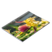 Carnet Iris de famille (Côté gauche)