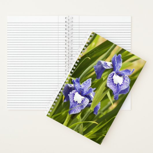Carnet Iris de Sibérie blancs et violets (À l'intérieur)