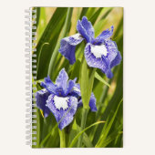 Carnet Iris de Sibérie blancs et violets (Recto)