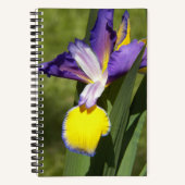 Carnet Iris de Sibérie floral pourpre et jaune (Recto)