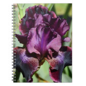 Carnet Iris Fleur Violette Profonde Florale (Devant)