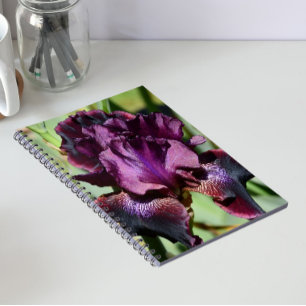 Carnet Iris Fleur Violette Profonde Florale
