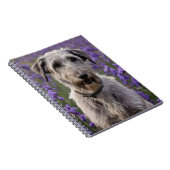 Carnet Iris Irish Wolfhound, (Côté Droit)