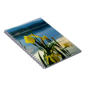 Carnet Iris jaune à Lake Shore (Côté Droit)