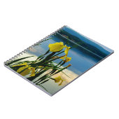 Carnet Iris jaune à Lake Shore (Côté gauche)