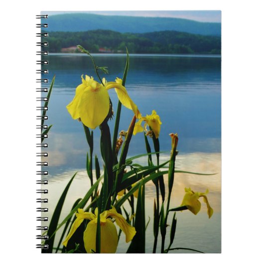 Carnet Iris jaune à Lake Shore (Devant)
