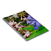 Carnet Iris Nain Crêché (Côté Droit)