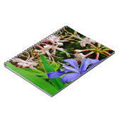 Carnet Iris Nain Crêché (Côté gauche)