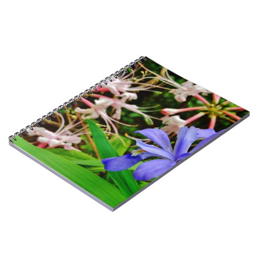 Carnet Iris Nain Crêché (Côté gauche)