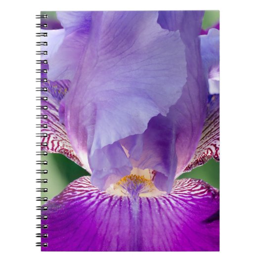 Carnet Iris Nature / Floral / Photo botanique (Devant)