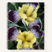 Carnet Iris sans barbe violet et jaune Floral (Devant)