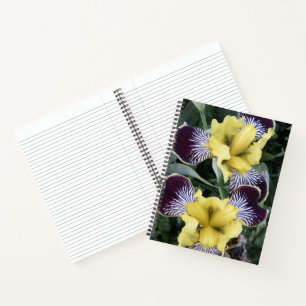 Carnet Iris sans barbe violet et jaune Floral