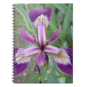 Carnet Iris violet