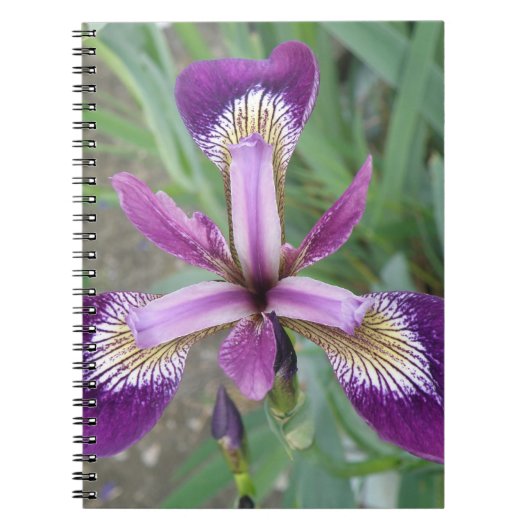 Carnet Iris violet (Devant)