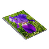 Carnet Iris violet (Côté Droit)
