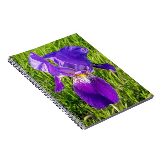 Carnet Iris violet (Côté Droit)