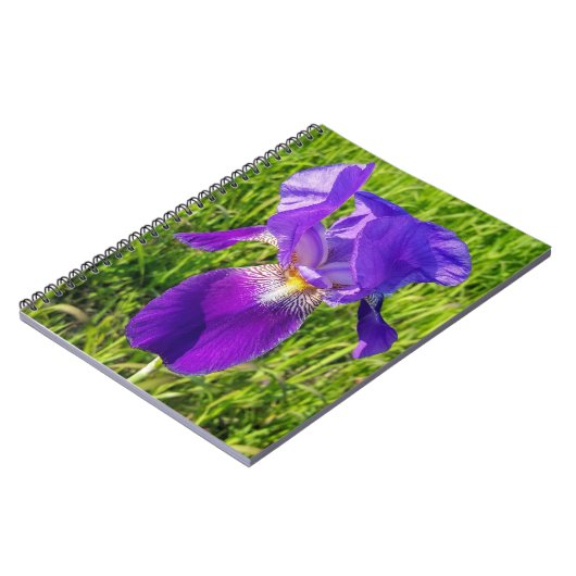 Carnet Iris violet (Côté gauche)