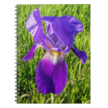 Carnet Iris violet