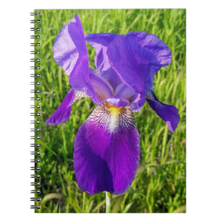 Carnet Iris violet