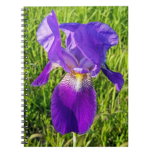 Carnet Iris violet (Devant)