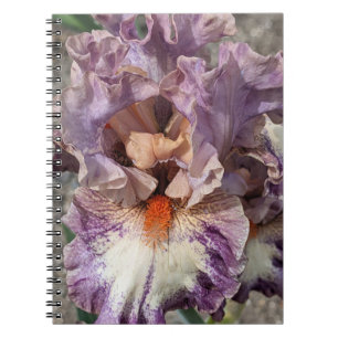 Carnet Iris violet et blanc avec barbe orange Floral