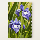 Carnet Irises Sibériennes violettes et blanches (Verso)