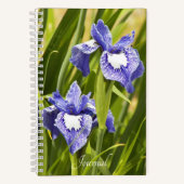 Carnet Irises Sibériennes violettes et blanches (Recto)